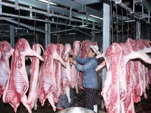 Đổi mới ngành chăn nuôi, sản xuất thịt lợn từ công cụ quản lý chuỗi