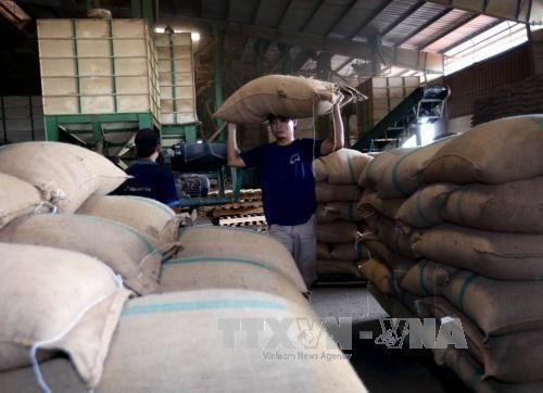 前8月越南农业实现44.9亿美元贸易顺差