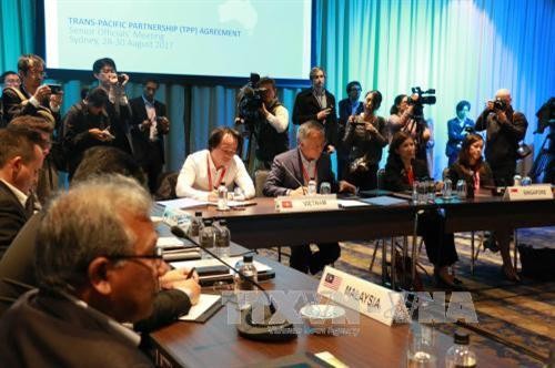 TPP谈判11国同意促进谈判让该协议尽早生效