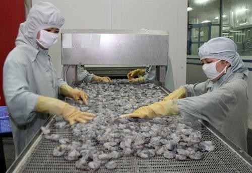 亚洲成为越南虾行业的新兴销售市场