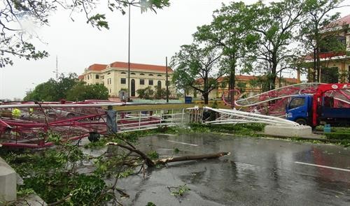 Bão số 10 làm 7 người chết và bị thương, 49.000 nhà bị tốc mái ở Quảng Bình