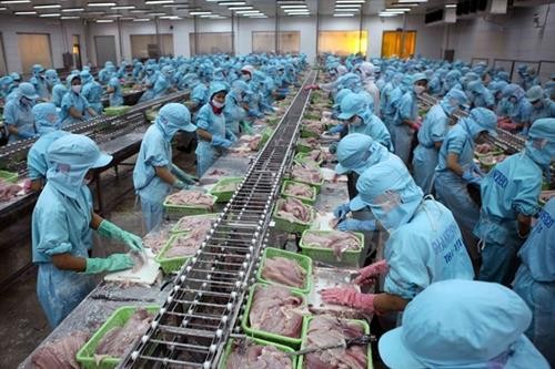 中国正在成为越南查鱼的潜在市场