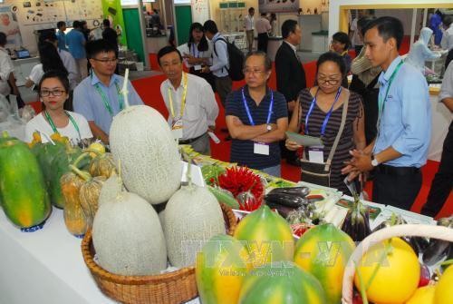 Cần sự liên kết để phát triển bền vững du lịch nông nghiệp tại Thành phố Hồ Chí Minh