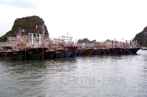 Quảng Ninh đẩy nhanh hỗ trợ ngư dân đóng tàu đánh bắt thủy sản xa bờ 