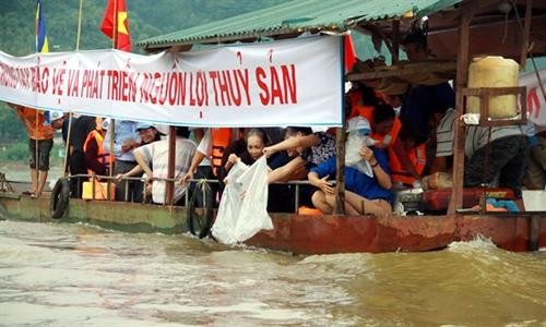 越南在泸江上放生1.2吨鱼苗 恢复水产资源