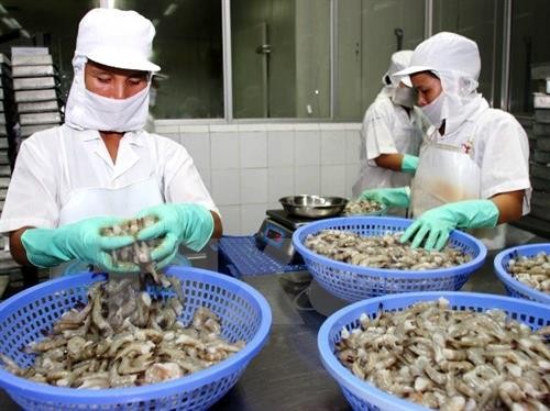 越南虾类产品出口占全球虾类出口总额的45%