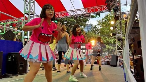 第五次越日文化节将于2018年在胡志明市举行