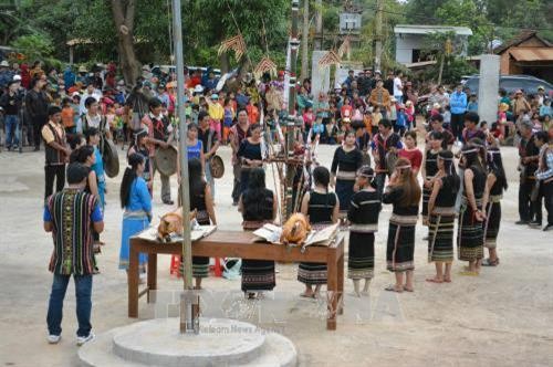 Độc đáo lễ mừng lúa mới của người Xê đăng tại Đắk Lắk