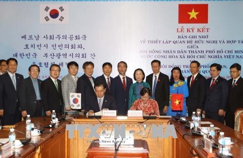 Thành phố Hồ Chí Minh và Thành phố Busan, Hàn Quốc thúc đẩy quan hệ hữu nghị và hợp tác