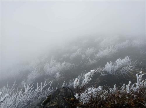 Thời tiết ngày 12/1: Bắc Bộ nhiệt độ tăng dần, vùng núi có nơi dưới 7 độ C