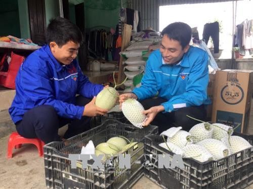 Anh Lê Ngọc Đạt làm giàu từ mô hình nông nghiệp công nghệ cao