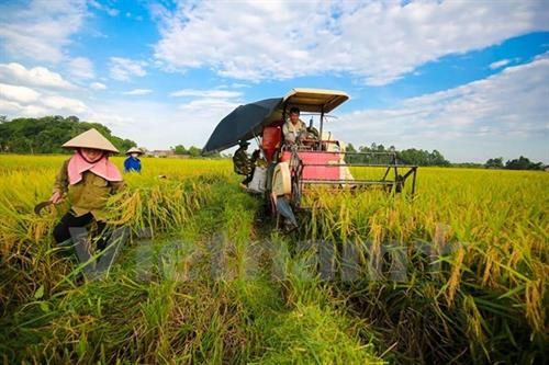 茶荣省为10个农业农村发展项目招商引资