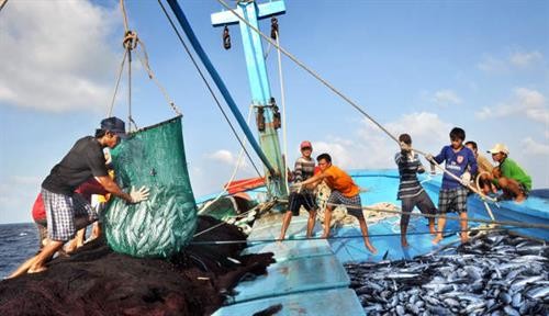印度尼西亚加大对海事和渔业领域的投资力度