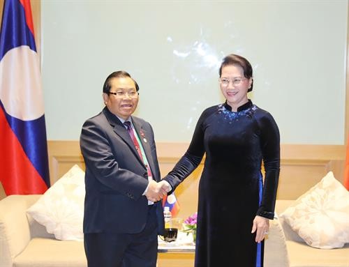 国会主席阮氏金银会见老挝国会副主席