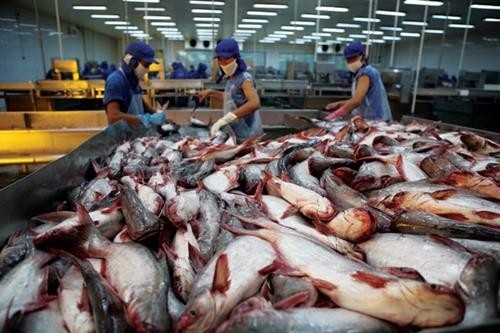 2018年越南将努力扩大查鱼出口市场