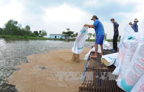 Tiền Giang đặt mục tiêu năm 2018 tăng sản lượng thủy sản gần 19%