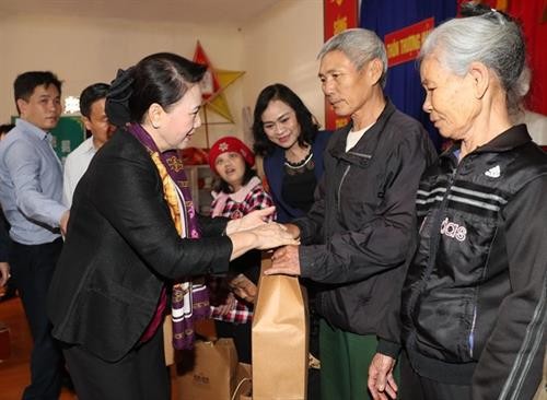 越南国会主席阮氏金银率团赴何静省调研