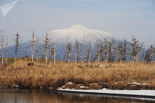 Vẻ đẹp tráng lệ của Khu bảo tồn Kurilsky (Nga)