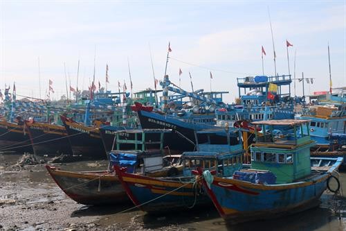 Bình Thuận cấm tàu, thuyền ra khơi từ 10 giờ ngày 3/1 để phòng bão số 1 