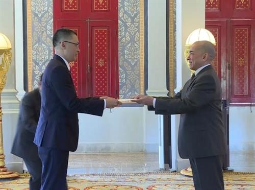 柬埔寨国王接受越南新任驻柬大使递交国书