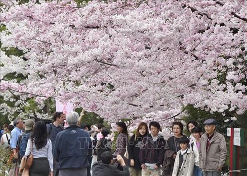 Tokyo được bình chọn là thành phố lớn được yêu thích nhất thế giới