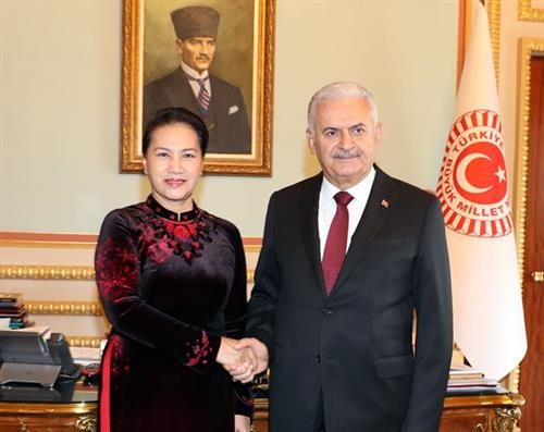 越南国会主席阮氏金银与土耳其议会议长比纳利·耶尔德勒姆举行会谈 