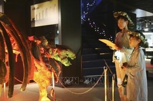 Độc đáo tổ hợp khách sạn bảo tàng khủng long ở Nhật Bản