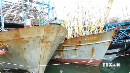 Quảng Nam gần 730 tỷ đồng cho vay đóng tàu lớn vươn khơi bám biển