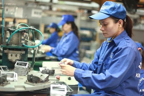 欧洲企业对越南经商环境表示乐观