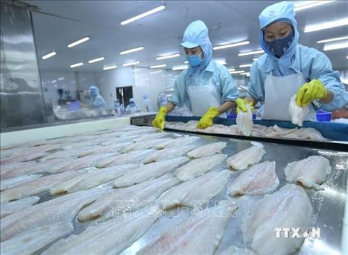 Việt Nam xuất khẩu thủy sản ước đạt 6,4 tỷ USD