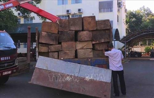 Đắk Lắk: Bắt giữ vụ vận chuyển gỗ lậu số lượng lớn