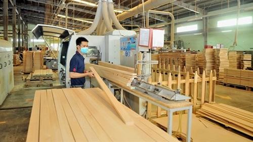 ​Ngành chế biến gỗ hướng đến 80% sản xuất có bản quyền