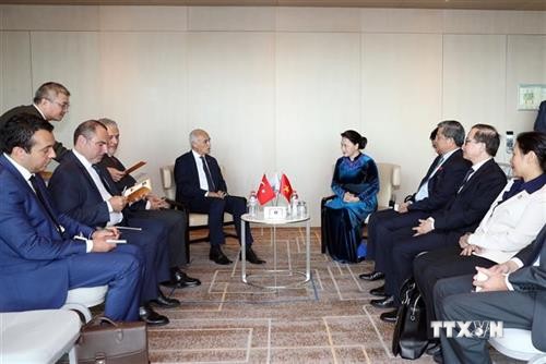 国会主席阮氏金银会见土耳其对外经济关系委员会主席