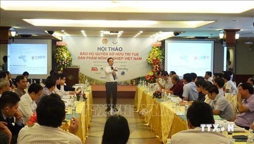 Tăng cường bảo hộ quyền sở hữu trí tuệ sản phẩm nông nghiệp Việt