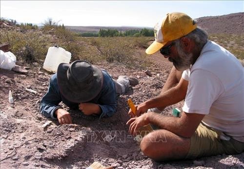 Phát hiện hóa thạch loài khủng long mới tại Argentina