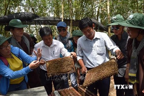 Anh Trần Thành Long thu tiền tỷ từ vị ngọt mật ong tràm