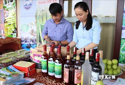 Ninh Thuận công bố danh mục sản phẩm đặc thù gắn với liên kết, tiêu thụ