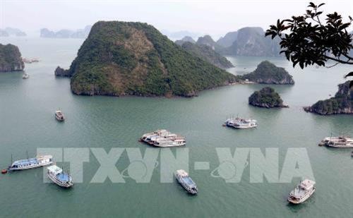  Thí điểm quản lý, điều hành tàu ghép khách tham quan vịnh Hạ Long ​