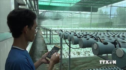 Anh Phan Huy Vũ khởi nghiệp từ trồng rau thủy canh bằng điện thoại thông minh