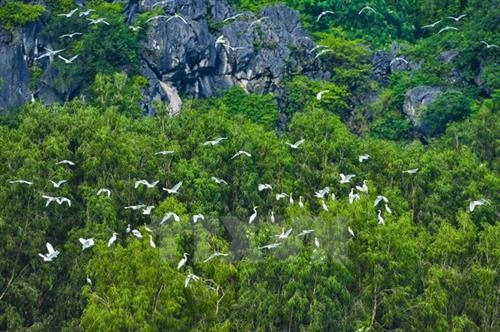 越南自然与环境保护协会致力于越南可持续发展事业