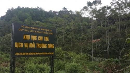 Số hộ được chi trả dịch vụ môi trường rừng tại Đắk Lắk còn thấp