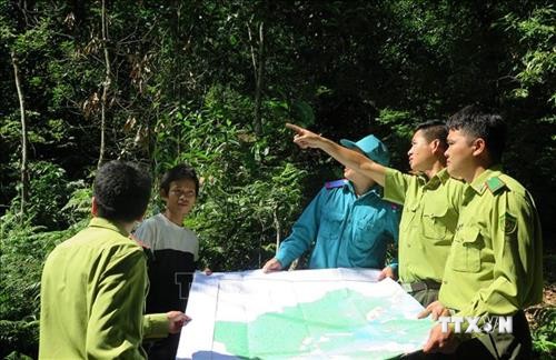 Tuyên Quang xã hội hóa công tác bảo vệ rừng
