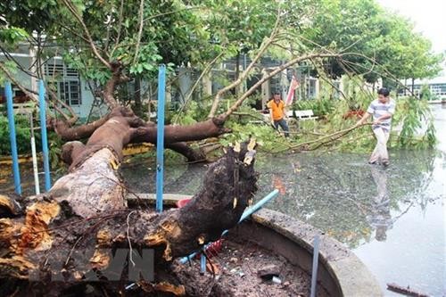 越南各地加快第九号台风灾后恢复重建
