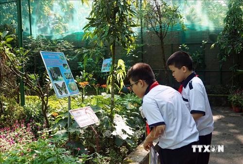 Thành phố Hồ Chí Minh khởi động chương trình tiết học ngoài nhà trường ở bậc tiểu học
