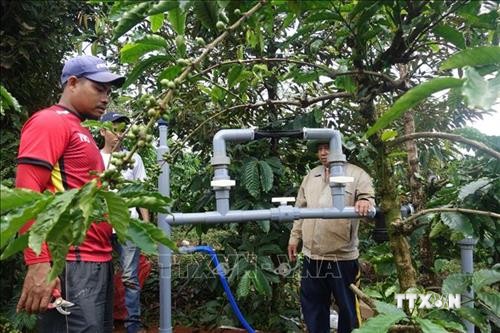 Công ty Nestlé Việt Nam hỗ trợ nông dân sản xuất cà phê bền vững