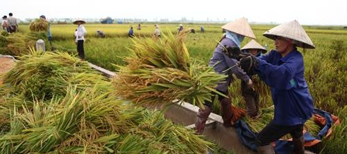 Ngành nông nghiệp Hà Nội tổ chức Hội nghị tổng kết công tác năm 2017, triển khai nhiệm vụ năm 2018