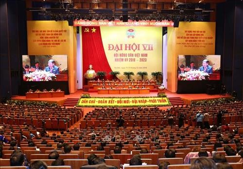 Đại hội VII Hội Nông dân Việt Nam: Nâng cao chất lượng hội viên nông dân trong tình hình mới