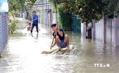 越南多地遭受暴雨袭击 政府调动各方面资源开展灾后重建工作