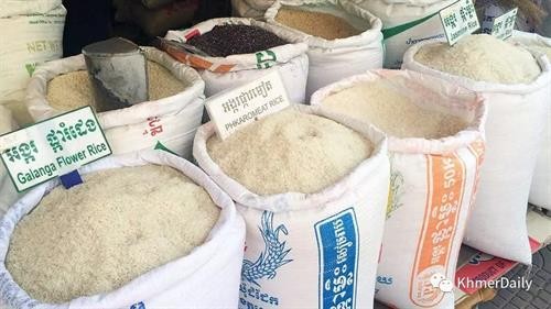 2018年前11月柬埔寨大米出口量下降13％