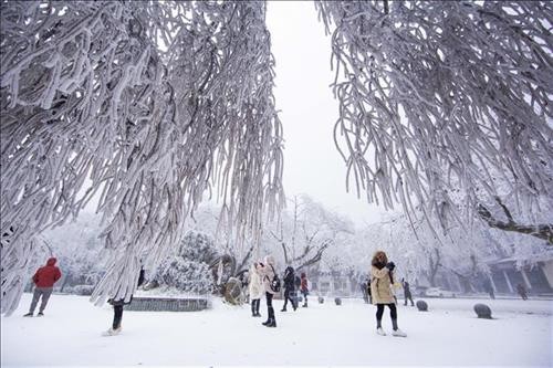 Chùm ảnh phong cảnh tuyết rơi tại Trung Quốc